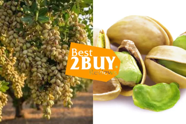 Pistachio Nuts Review: Healthy High-Protein Snack with Real Crunch & Flavor