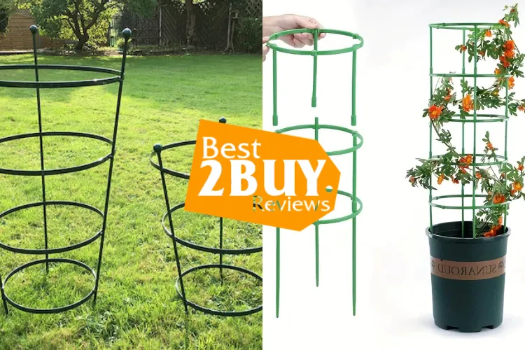 Best Plant Cages & Supports for Tomatoes and Climbing Plants – Strong & Rust-Resistant