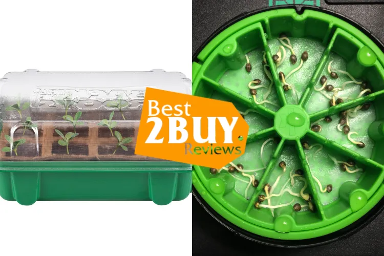 Best Plant Germination Kits for Indoor Seed Starting – Complete Starter Sets Reviewed