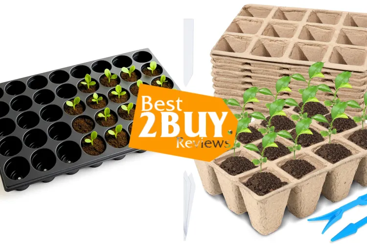 Best Plant Germination Trays for Seed Starting – Durable, Reusable & High Success Rate