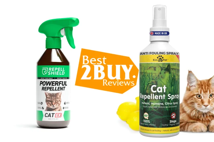 Best Spray Cat Repellents: What Works, What Doesn’t, and Why
