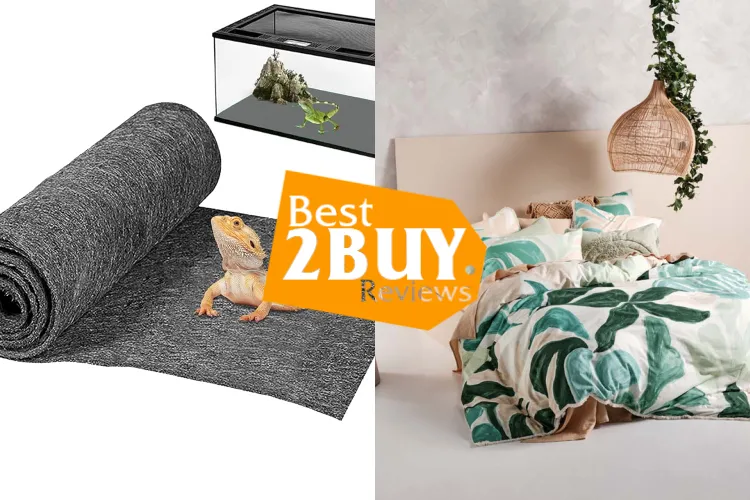 Terrarium Bedding Explained: What Works Best for Reptiles