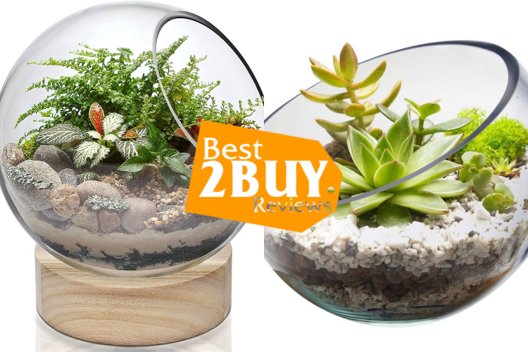 Terrarium Bowls