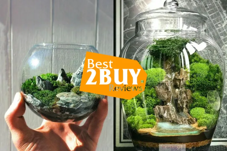 Terrarium Covers Review: Are Mesh Lids Really Worth It? Honest Buyer Guide