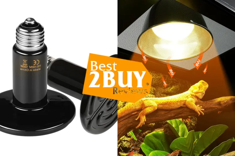 Terrarium Heat Lamps Review: Real Performance, Pros, Cons & Buying Tips