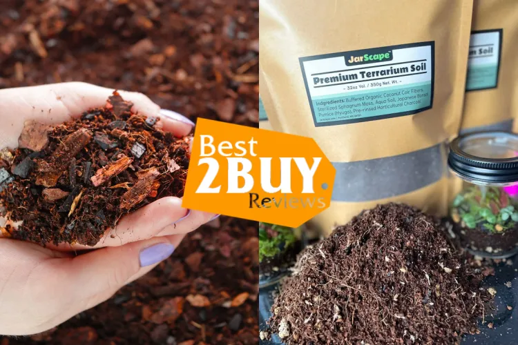 Zoo Med ReptiSoil Review: Natural Terrarium Substrate for Bioactive Setups